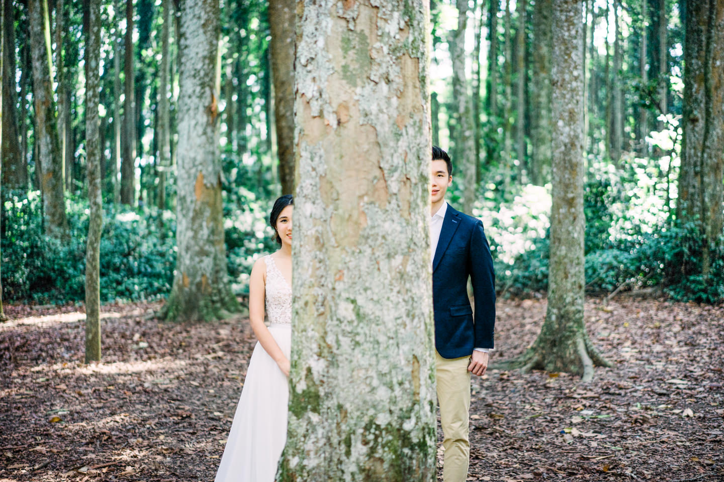 Bali Pre Wedding Location in Sangeh Monkey Forest