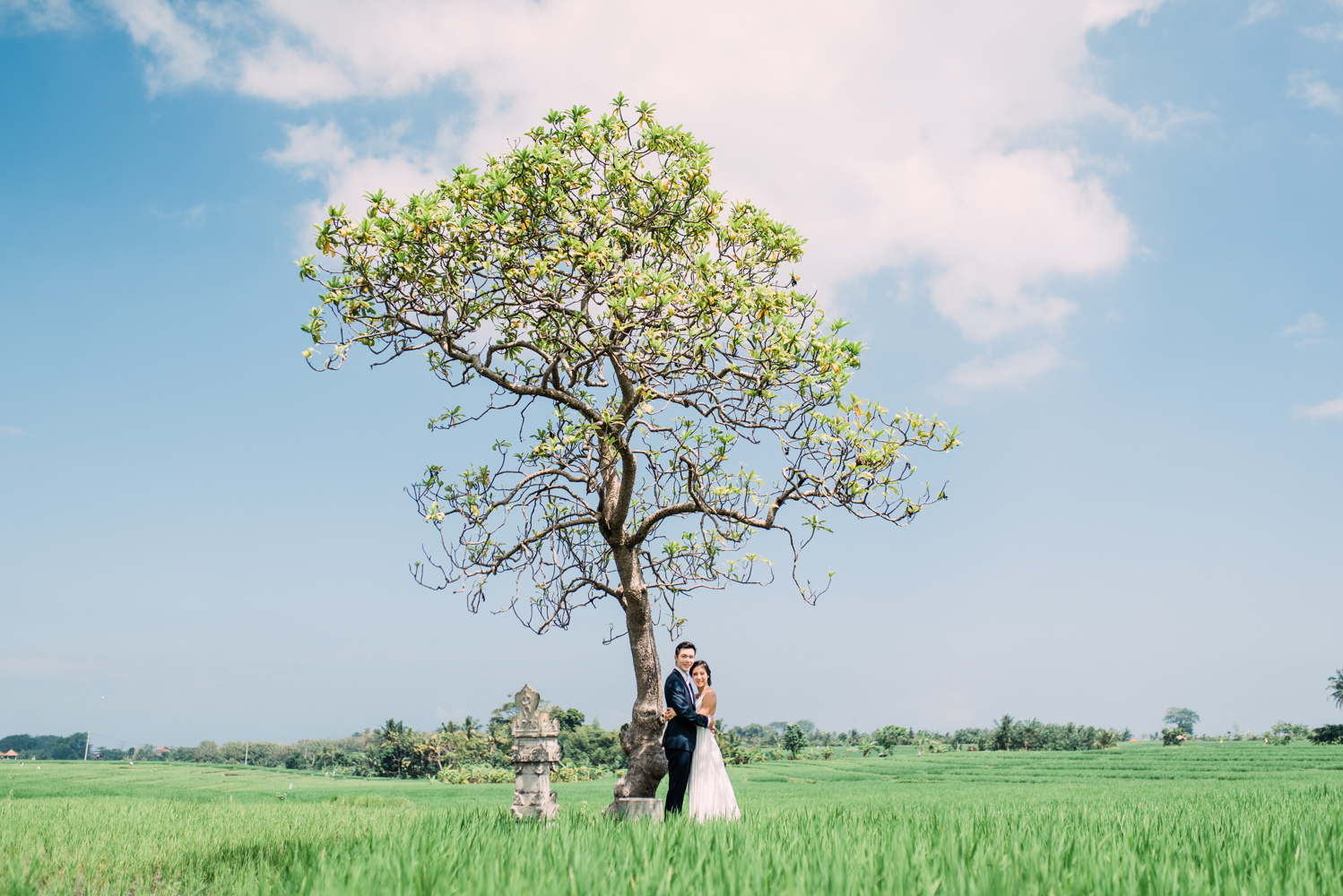 Bali pre wedding location in Seseh Rice Field