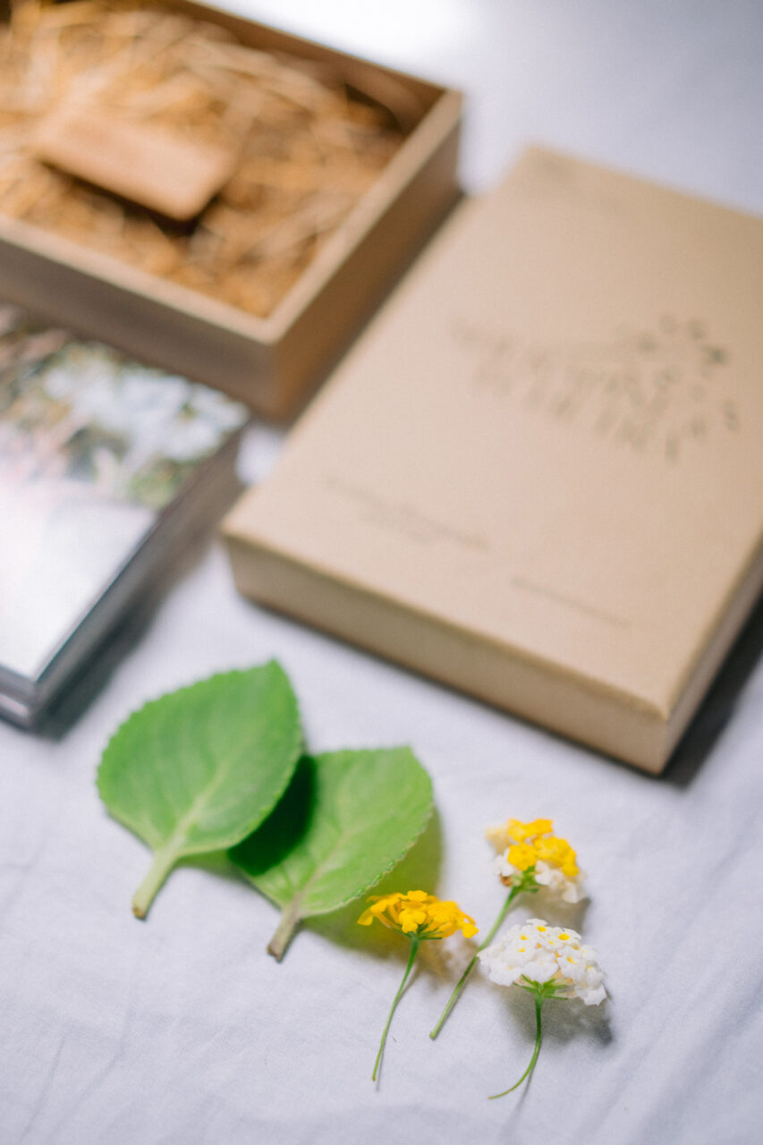 Bali Photography Pricing and Packages